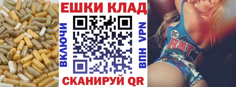 ссылка на мегу вход  Энем  Экстази диски 
