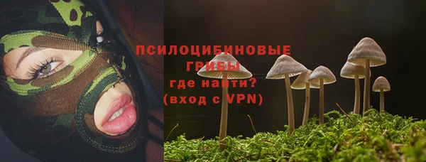 амф Абаза