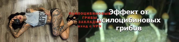амф Абаза