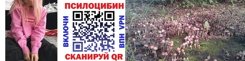 Псилоцибиновые грибы Cubensis  купить наркоту  Энем 